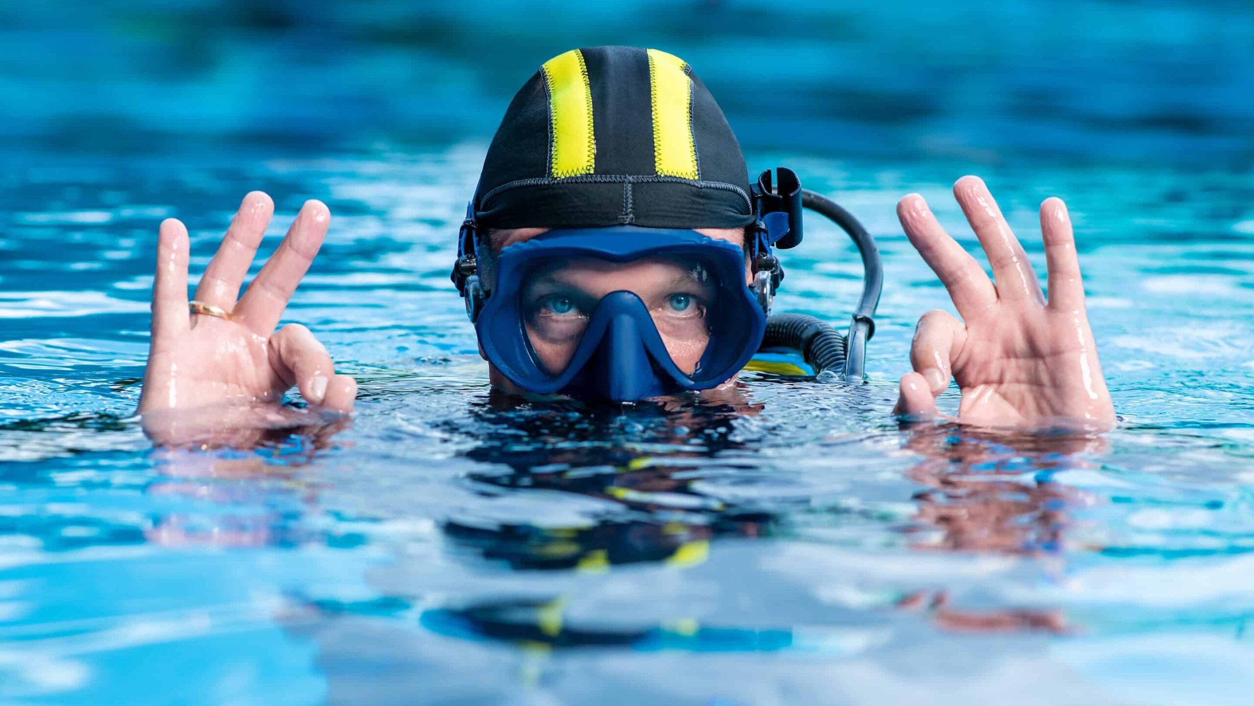 Dive Roam -Dive Roam AdobeStock 384802296 scaled e1744052285215 scaled