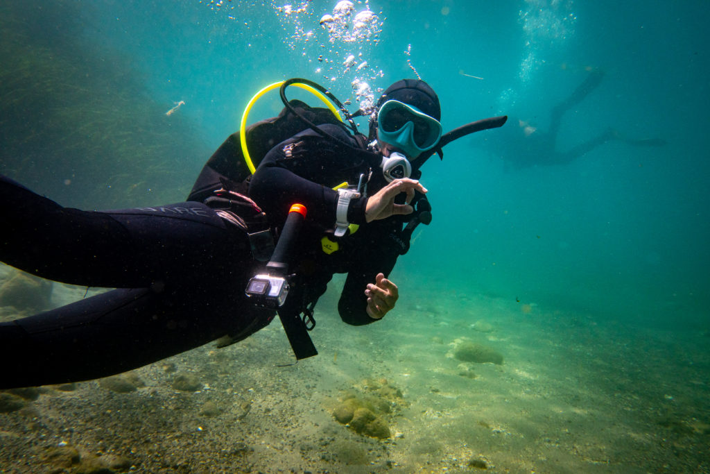 Dive Roam -Dive Roam IMG 6084 1024x683 1